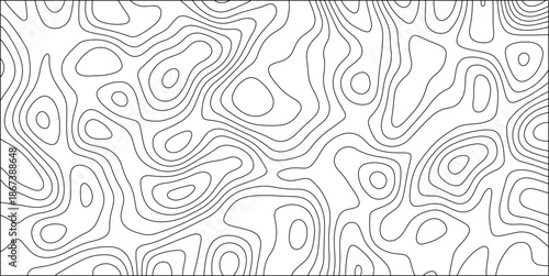 Intricate Black and White Abstract Pattern of Organic Contour Lines, Resembling Topography or Fluid Dynamics, Perfect for Textures and Graphic Design Applications
