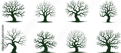Collection of various dead tree silhouette, Tree without leaves, different shapes of Spooky trees  vector illustration.