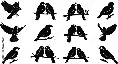 Bird silhouette collection, romantic poses, flying and perched birds, love theme, nature design, vector illustration, black, isolated, decorative, setBird silhouette collection, romantic poses