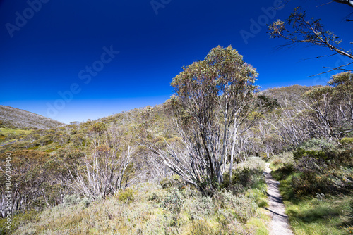 Dead Horse Gap Walking Track in Australia