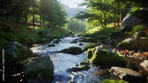 Tracking shot along a forest stream with moss-covered rocks. Clear water flowing through a lush green woodland. Sunlight reflections on the surface. Nature landscape