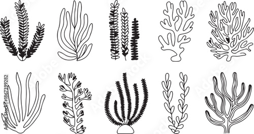 A collection of outlined and solid black seaweed forms and coral shapes on a clean white background