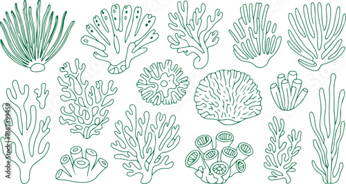 A diverse collection of green outlined marine plants and corals on a simple white background