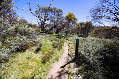 Dead Horse Gap Walking Track in Australia