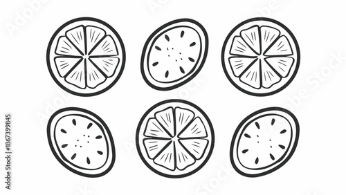 Hand Drawn Outline Fruit Slices Collection
