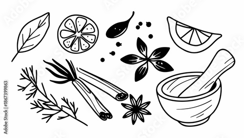 Hand Drawn Outline Illustrations of Assorted Spices and Herbs