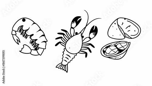 Hand Drawn Outline Illustrations of Lobster Shrimp and Oyster