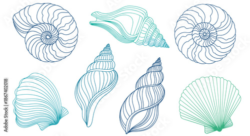 Collection of various seashells illustrated in blue and green gradients, showing intricate spiral patterns and natural marine textures.