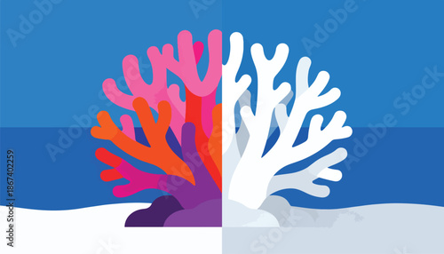 Vibrant coral reef with stark white bleached sections against blue ocean
