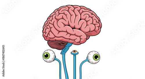 Pink human brain connected to three eyeballs on long blue stalks, creating a surreal and quirky scientific or anatomical illustration.