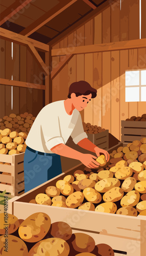 A man sorts through bountiful harvest of potatoes in a rustic wooden barn
