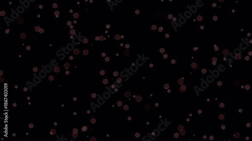 Soft 8 Petal Bloom Floral Overlay