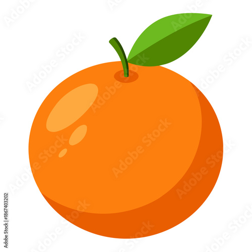 Orange fruit vector illustration, flat design, clean shapes, isolated on white background