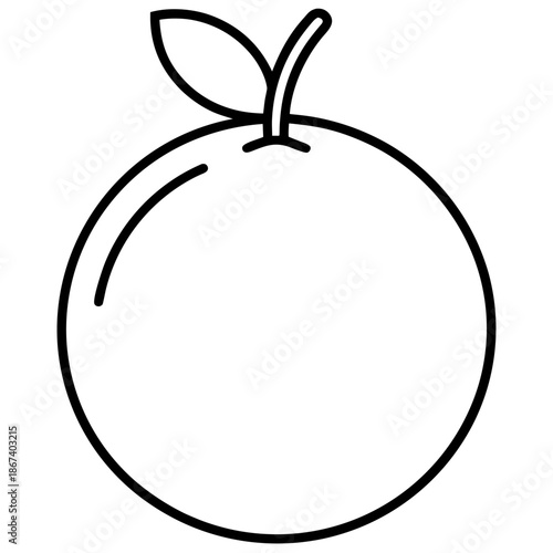 Orange fruit line art vector illustration, clean black outlines, consistent stroke weight, isolated on white background