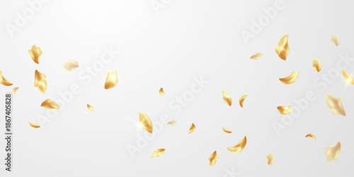 vector illustration of a fire background