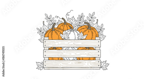 Detailed hand drawn illustration of a wooden crate overflowing with ripe orange pumpkins and white squashes with fallen autumn leaves.