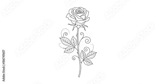 Detailed black and white line drawing of a single rose flower with elegant leaves and decorative swirls on white.