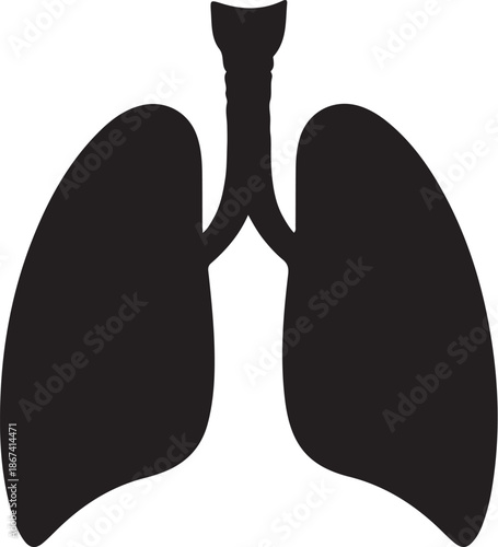 Human lungs silhouette Vector