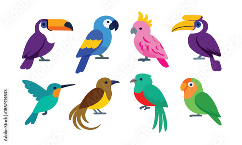 Vector Collection of Diverse Tropical Birds in Flat Design Style