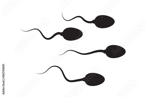 Four stylized black sperm illustrations on a clean white background representing reproduction and biology