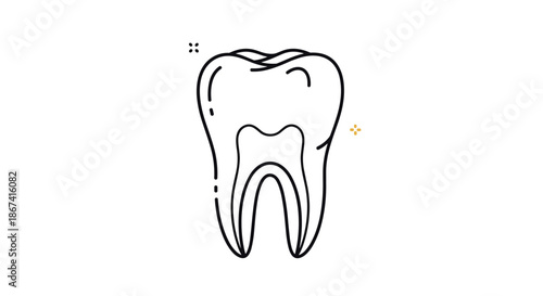 Simple line-art illustration of a healthy human tooth with internal pulp structure visible for dental study.