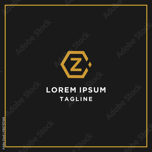 cz or zc hexagon logo