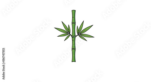 Single green bamboo stalk with two symmetrically growing leaf clusters against a plain white background.