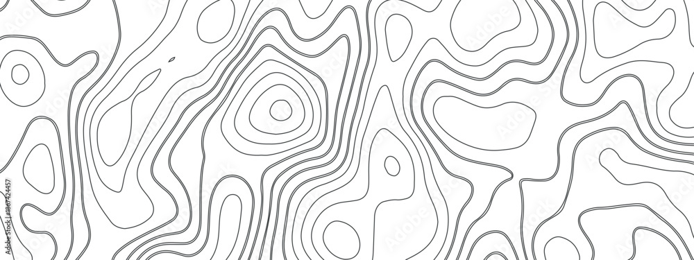 Fototapeta premium an abstract image of smooth contour lines - similar to a topographic map or the texture of a tree - painted in a soft gray color on a white background.
