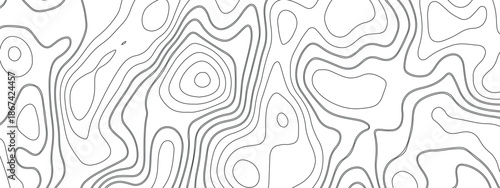 an abstract image of smooth contour lines - similar to a topographic map or the texture of a tree - painted in a soft gray color on a white background.