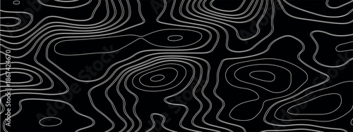 an abstract image of smooth contour lines - similar to a topographic map or the texture of a tree - painted in soft white color on a black background.