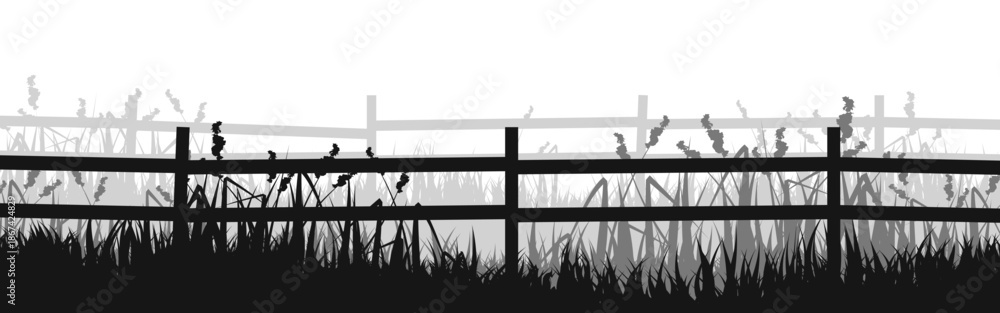 Obraz premium Meadow silhouette with grass, plants on plain. Panoramic summer lawn landscape with herbs, various weeds. Herbal border, frame element. Black horizontal banners. Vector illustration.