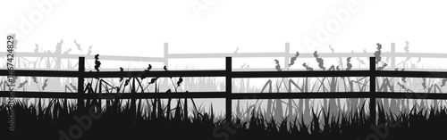 Meadow silhouette with grass, plants on plain. Panoramic summer lawn landscape with herbs, various weeds. Herbal border, frame element. Black horizontal banners. Vector illustration.