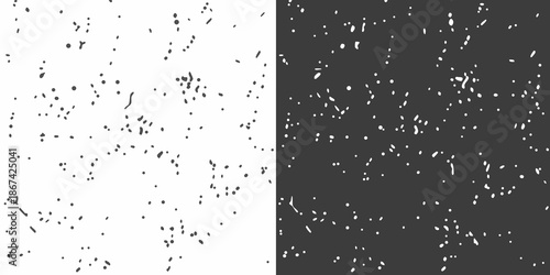 A stark contrast speckled black and white visual representation of randomness