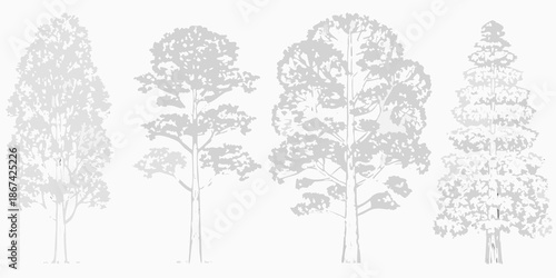 A grayscale illustration depicts four different types of trees in a row