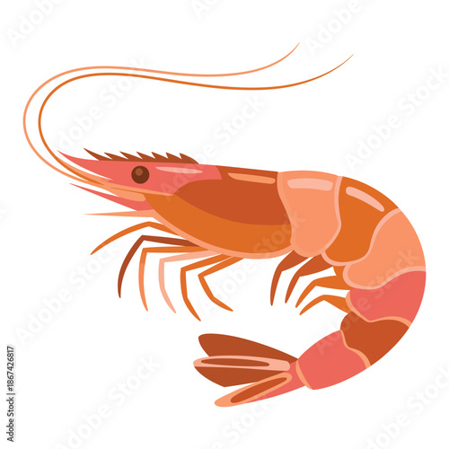 shrimp on white background