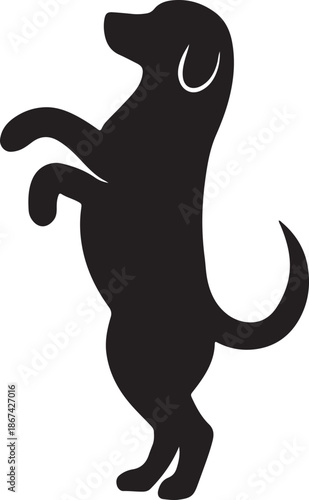 Intricate floral design adorning the form of a seated rabbit illustration