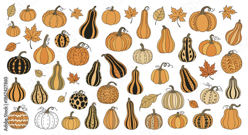 Large collection of hand-drawn doodle-style pumpkins, gourds, and autumn leaves for fall harvest and Thanksgiving designs.