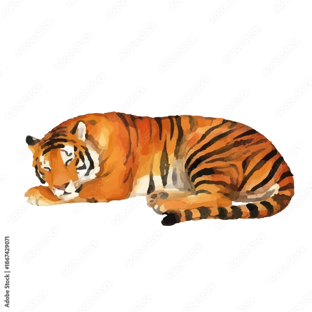 Fototapeta premium Watercolor-style tiger illustration/虎