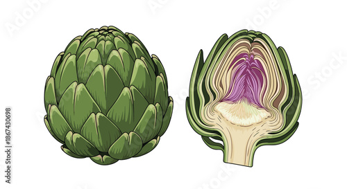 Detailed illustration of a whole and a halved artichoke, showing the internal structure, isolated on a white background.