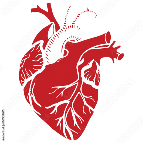 Red heart with wings vector illustration of an eagle bird silhouette art design featuring a dragon tattoo symbol and red pattern zodiac sign