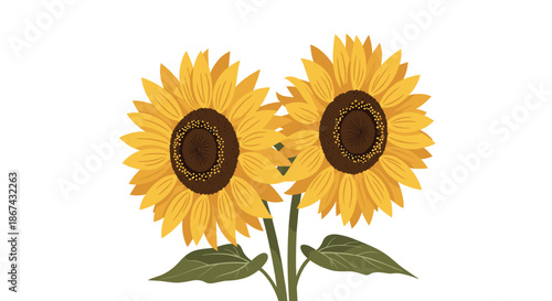A bright and cheerful illustration of two vibrant yellow sunflowers with detailed brown centers and green leaves, isolated on a clean white background for a summer feel.