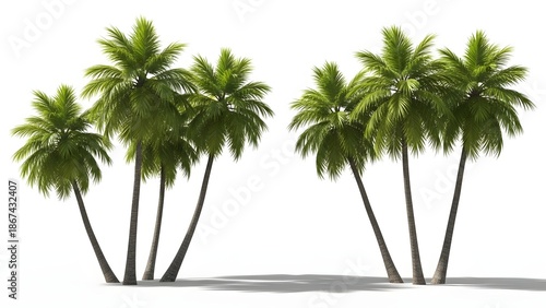 Six Tall Green Palm Trees on a White Background tropical