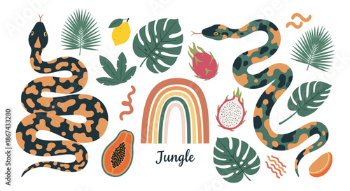 A vibrant and trendy collection of jungle-themed elements, including spotted snakes, tropical leaves, exotic fruits like dragon fruit and papaya, and a boho rainbow.