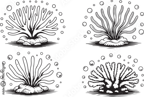 Four distinct black outline coral and sea anemone illustrations surrounded by air bubbles on a white surface