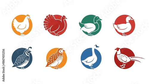 Set of eight colorful bird icons in circles for various design applications