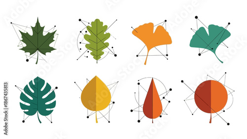 Vegetables illustration set for culinary design and nutritional education