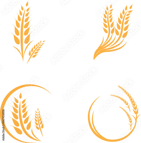 Agriculture wheat Logo Template vector icon design - Vector
