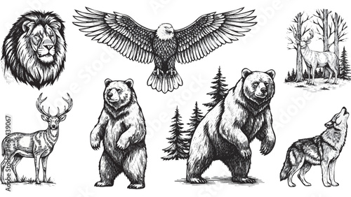 Wildlife illustrations of bears, lions, deer, eagles, and wolves in a forest environment from a distant viewpoint