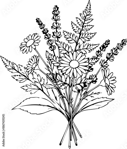 Delicate wildflower bouquet illustration with daisies and ferns, perfect for spring designs, invitations, and botanical themes, originally vector graphics