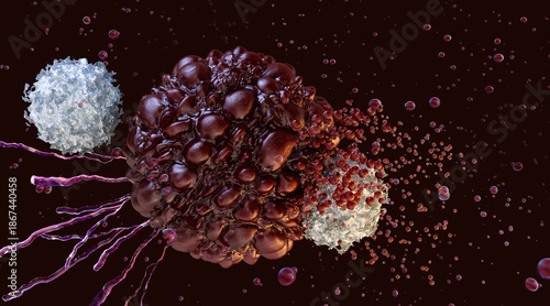 White blood cells (T-lymphocytes) engaging with a cancerous tumor. Programmed cell death (apoptosis) and the body's natural immune response. Oncology research, cancer treatment, CAR T-cell therapy